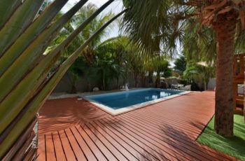 Knotwood by Clausio North America